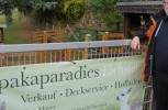 Pater Bernhard Schneider hat sich wohl ins falsche Paradies verirrt (Foto: Fella)