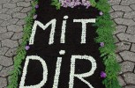 Blumentepich auf Berg Schönstatt