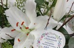 Pfingstmontag: 100Jahre Schönstätter Marienschwestern, Liebfrauenhöhe