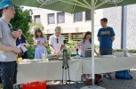 Pfingstmontag: 100Jahre Schönstätter Marienschwestern, Liebfrauenhöhe
