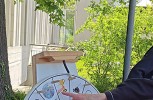 Pfingstmontag: 100Jahre Schönstätter Marienschwestern, Liebfrauenhöhe