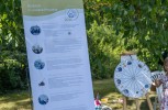 Marienschwestern feiern ihr Jubiläum im Schönstatt-Zentrum Kösching/Kasing